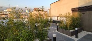 ‏صوفی ‏خرید ‏آپارتمان، ‏مستغلات ‏و ‏کلنگی ‏اداری ‏در ‏تهران ‏جردن ‏ ‏ونک ‏آرژانتین 11