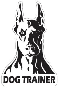 ‏پت ‏مربی ‏سگ ‏تحصصی ‏در ‏صادقیه 12 1 1 1 1 1