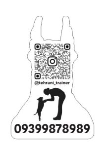 تهرانی ‏پت ‏مربی ‏سگ ‏تحصصی ‏در ‏صادقیه 13 1 1 1