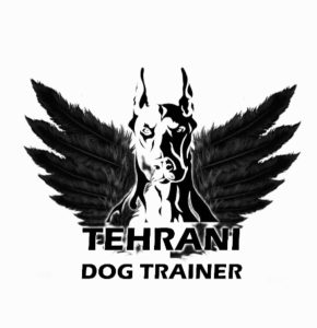 ‏پت ‏مربی ‏سگ ‏تحصصی ‏در ‏صادقیه 17 1 1 1 1 1 1
