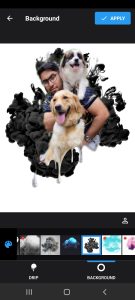 ‏پت ‏مربی ‏سگ ‏تحصصی ‏در ‏صادقیه 3 1 1 1 1 1