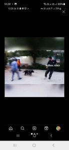 ‏پت ‏مربی ‏سگ ‏تحصصی ‏در ‏صادقیه 4 1 1 1 1 1