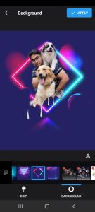 ‏پت ‏مربی ‏سگ ‏تحصصی ‏در ‏صادقیه 6 1 1 1 1 1 1