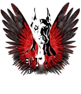 ‏پت ‏آموزش سگ های همیار و اوتیسم دوره فرمان پذیری مربی ‏سگ ‏تخصصی ‏در ‏تهران ‏پاسداران 11 1