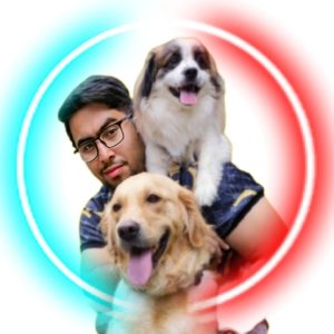 ‏پت ‏آموزش سگ های همیار و اوتیسم دوره فرمان پذیری مربی ‏سگ ‏تخصصی ‏در ‏تهران ‏پاسداران 14 1