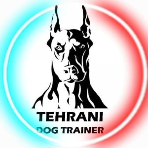 ‏پت ‏آموزش سگ های همیار و اوتیسم دوره فرمان پذیری مربی ‏سگ ‏تخصصی ‏در ‏تهران ‏پاسداران 7 1