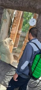 سمپاشی ساس سوسک با صددرصد گارانتی در شریعتی 6