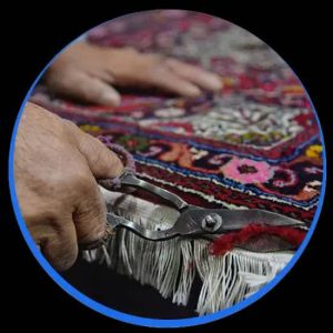 قالیشویی شاپرک مبل شویی رفوگری قالیشویی در تهران آزادی 2