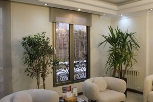 ‏قدیانی ‏فر ‏خدمات ‏لیزر ‏مشاور ‏کاشت ‏مو ‏و ‏ابرو ‏کارگذاری ‏نخ ‏اروپایی ‏در ‏تهران قلهک 5