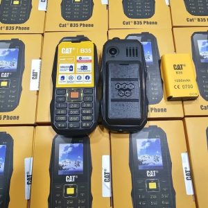 174637 431727880 1582783769145104 171816693208778664 n