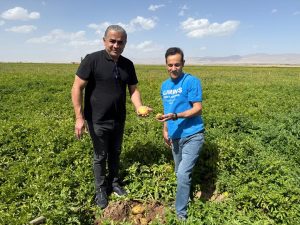 پوتیتو ‏ایران ‏تولید ‏تکثیر ‏انواع ‏سیب ‏زمینی ‏وارداتی ‏بذر ‏سیب ‏زمینی ‏کم ‏آب ‏بر ‏در ‏زنجان ‏سلطانیه