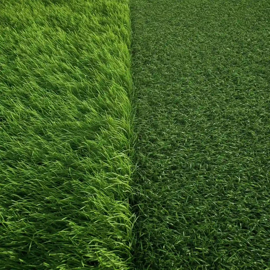 3 تفاوت مهم بین چمن مصنوعی تزئینی و ورزشی