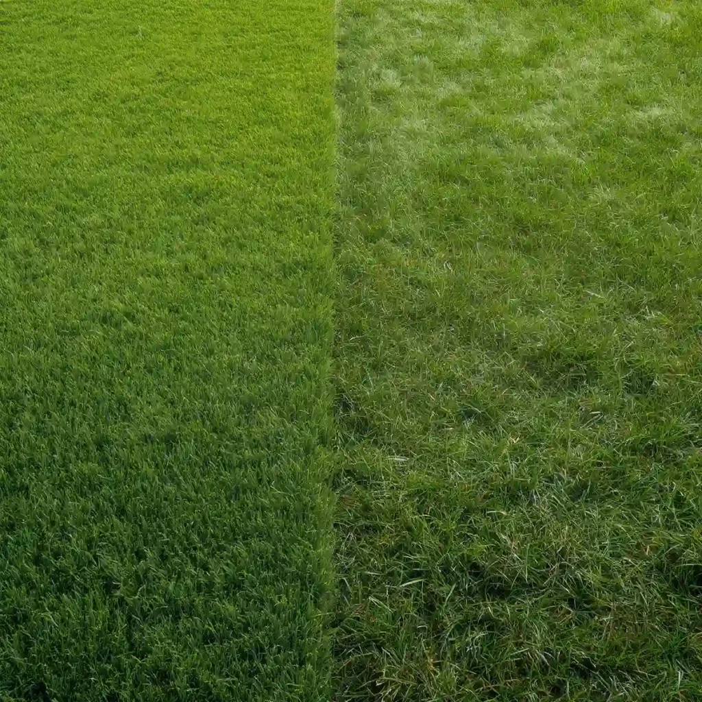 7 دلیل برای انتخاب چمن مصنوعی به جای طبیعی