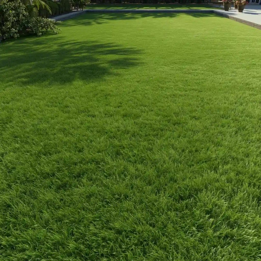 خرید و فروش عمده چمن مصنوعی در اصفهان