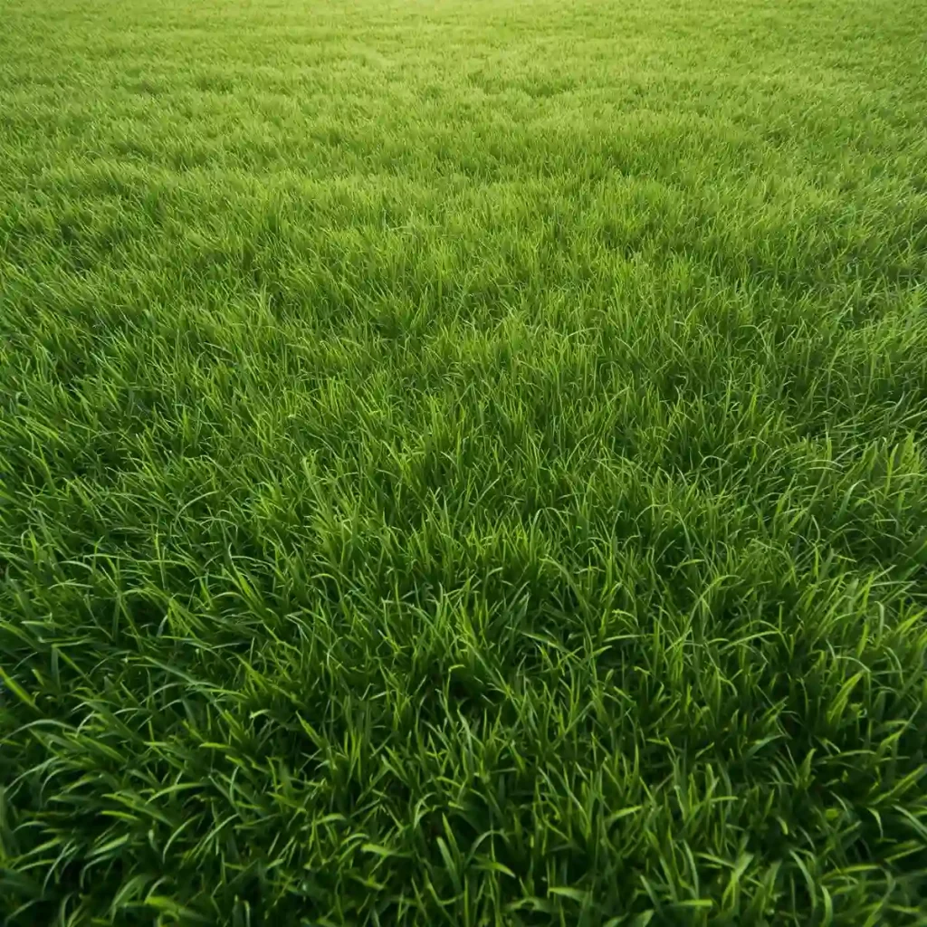 خرید و فروش عمده چمن مصنوعی در کرمان