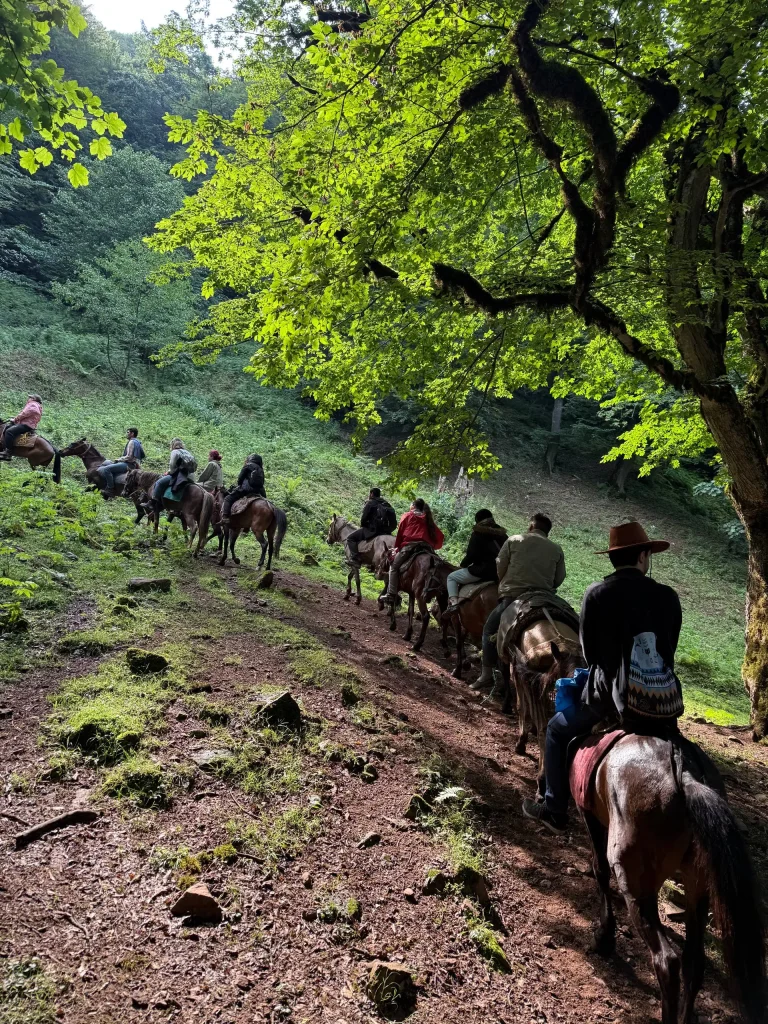 مسیر رویایی با اسب در تور جنگل های لیسار تا سوباتان 1 مسیر رویایی با اسب در تور جنگل های لیسار تا سوباتان