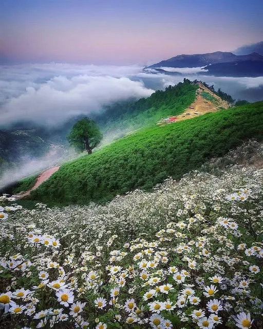 چیز درباره سفر به اولسبلنگاه ماسال 3