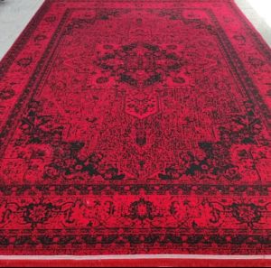 190178 7 1 e1764239565763