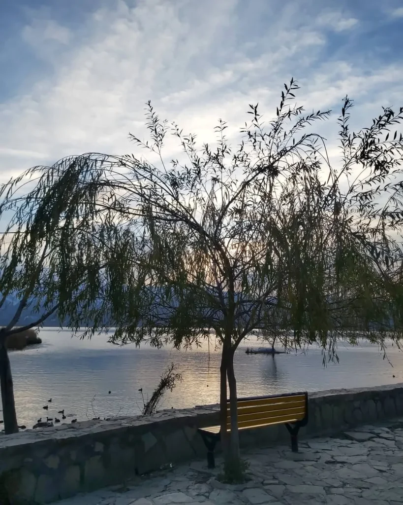 تور مریوان دریاچه زریوار با اتوبوس vip