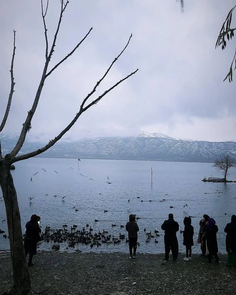 تور مریوان دریاچه زریوار با اتوبوس vip