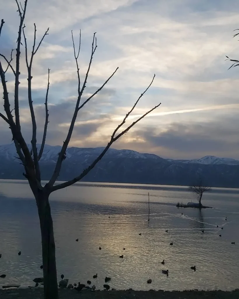 تور مریوان دریاچه زریوار با اتوبوس vip