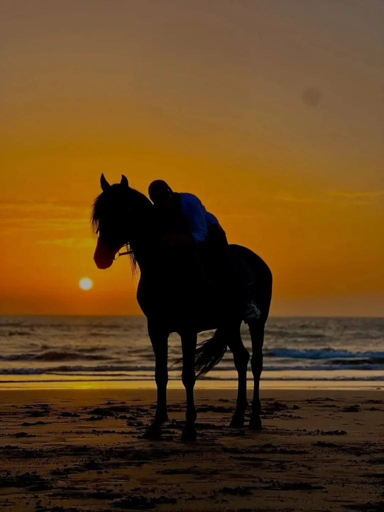 راهنمای تور اسب سواری ییلاق سوباتان 1