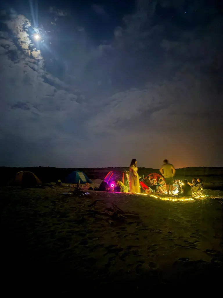 راهنمای تور پدل برد در جنگل حرا