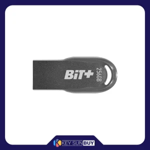 بهترین قیمت فلش مموری پتریوت مدل BIT-USB 3.2 Gen. 1 ظرفیت 256 گیگابایت ارسال سراسر ایران