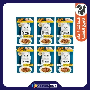 بهترین قیمت پوچ گربه بالغ گورمت مدل Perle Pack طعم مرغ بسته 6 عددی ارسال سراسر ایران