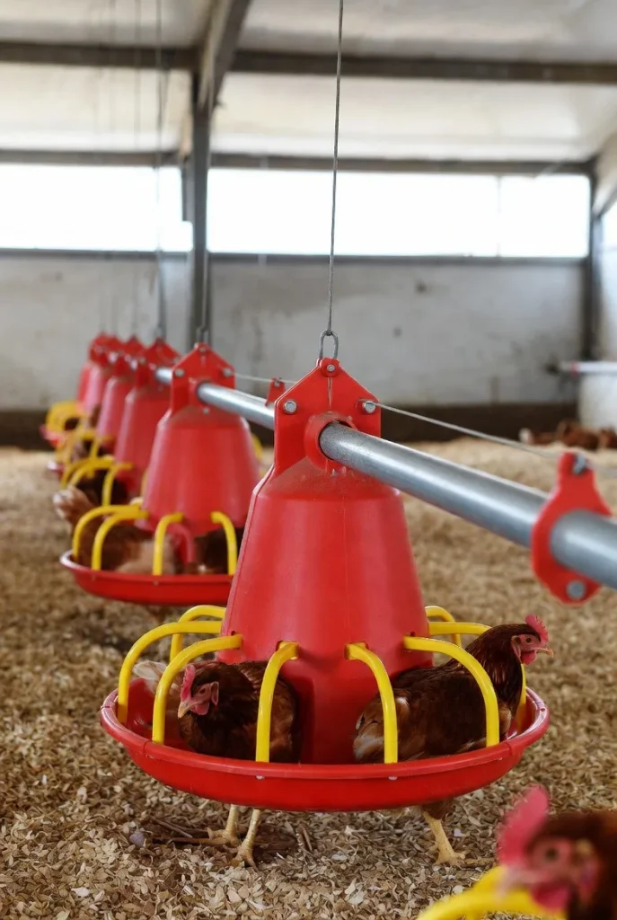 قیمت و خرید دانخوری اتوماتیک بشقابی در تهران آزادی 1 قیمت و خرید دانخوری اتوماتیک بشقابی در تهران آزادی