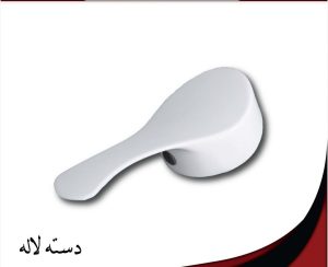 shiralat mohsen 13