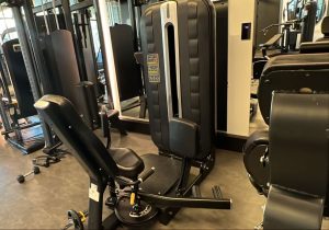 vipfit gym 5 1
