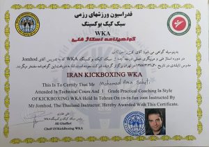 ‏ثابتی ‏مربی ‏خصوصی ‏بوکس ‏و ‏کیک ‏بوکسینگ ‏و ‏فیتنس ‏در ‏ولنجک 9