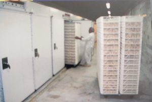 ‏تامین ‏و ‏تولید ‏شانه ‏تخم ‏مرغ ‏دستگاه ‏جوجه ‏کشی ‏در ‏تهران ‏میدان ‏صنعت 4