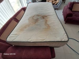 ‏گل ‏مبل ‏شویی ‏حرفه ‏ای ‏لکه ‏گیری ‏مبل ‏در ‏بهارستان ‏اصفهان 15