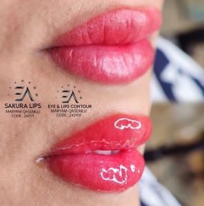 سالن رویسا خدمات ریموو تاتو ابرو فیبروز خط چشم بن مژه در هفده شهریور تهران
