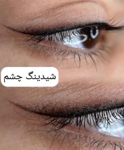 سالن رویسا خدمات ریموو تاتو ابرو فیبروز خط چشم بن مژه در هفده شهریور تهران 15
