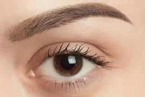 سالن ‏مریم ‏بانو ‏کوپ ‏و ‏خدمات ‏ابرو تاتو ‏ابرو ‏در ‏آریاشهر 11 result