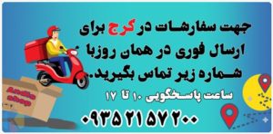 ‏اندیس شاپ ‏اتو ‏مو ‏سشوار ‏شیور ‏در حصارک ‏کرج 12