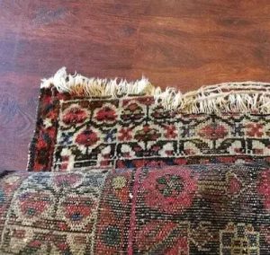 قالیشویی اصیل ایرانی شستشوی فرش ماشینی دستباف در پاسداران نیاوران6