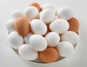 لبنیات ‏زندیه ‏شیر ‏دوغ ‏ماست ‏پنیر ‏در ‏آزادگان ‏صاحب ‏الزمان 6