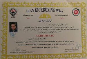 امین ثابتی 16