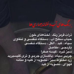مرکز لیزر و لاغری دلوین خدمات دستگاه لاغری لیزر در تهران ازگل 16