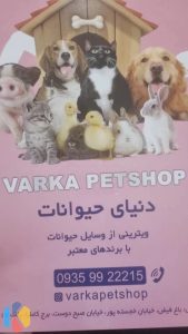 ‏پت ‏شاپ ‏غذای ‏خشک ‏سگ ‏و ‏گربه ‏رویال ‏کنین ‏در ‏باغ ‏فیض ‏پونک 9