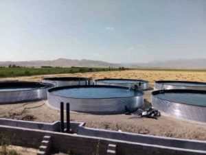 ‏نانو ‏بهاران ‏کشت ‏و ‏صنعت ‏آبیار ‏طراحی ‏و ‏اجرای ‏استخر ‏پرورش ‏ماهی ‏در ‏چابهار 12