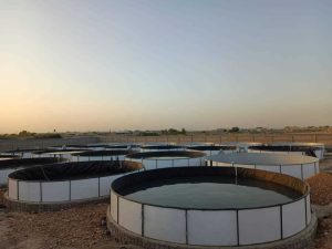 ‏نانو ‏بهاران ‏کشت ‏و ‏صنعت ‏آبیار ‏طراحی ‏و ‏اجرای ‏استخر ‏پرورش ‏ماهی ‏در ‏چابهار 9