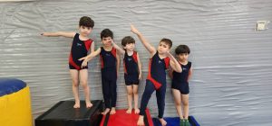 ویوا ژیمناستیک فانکشنال در فرمانیه منطقه 1 5
