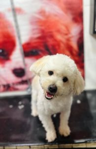 80390 photo14619707580