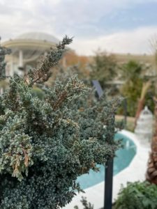 ‏تالار ‏بهشتکده ‏برگزاری ‏جشن ‏و ‏مراسم ‏عروسی ‏فضایی ‏همیشه ‏سبز ‏بهترین ‏در کرج ‏فردیس 17