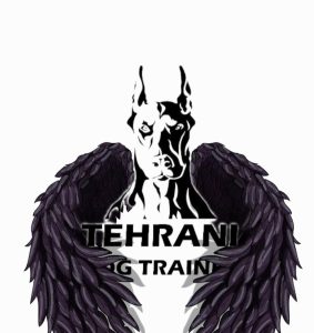 ‏پت ‏آموزش سگ های همیار و اوتیسم دوره فرمان پذیری مربی ‏سگ ‏تخصصی ‏در ‏تهران ‏پاسداران